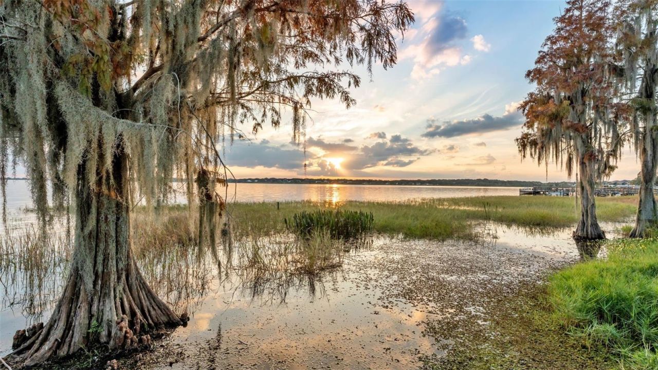 165 Arianna Way, Auburndale, FL 33823 Photo