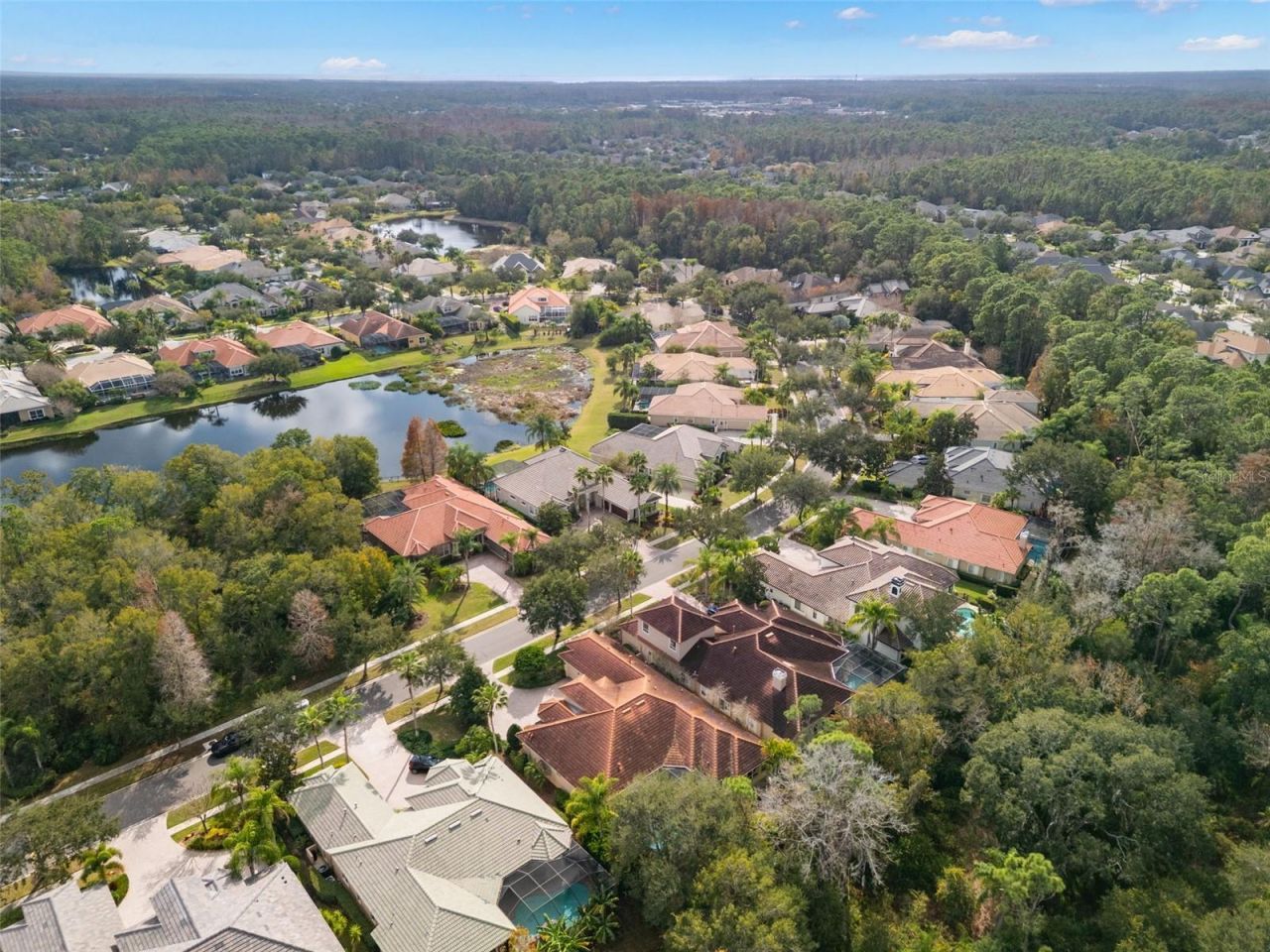 11932 Royce Waterford Circle, Tampa, FL 33626 Photo