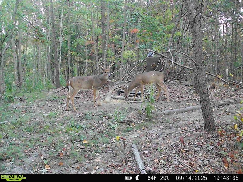 0 Edendale Road , Portsmouth, OH 45662 Photo 10