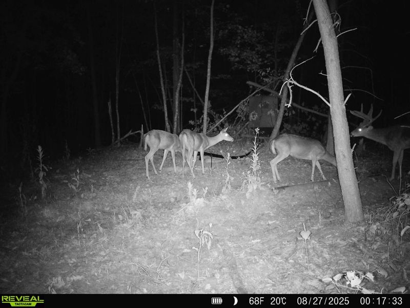 0 Edendale Road , Portsmouth, OH 45662 Photo 13