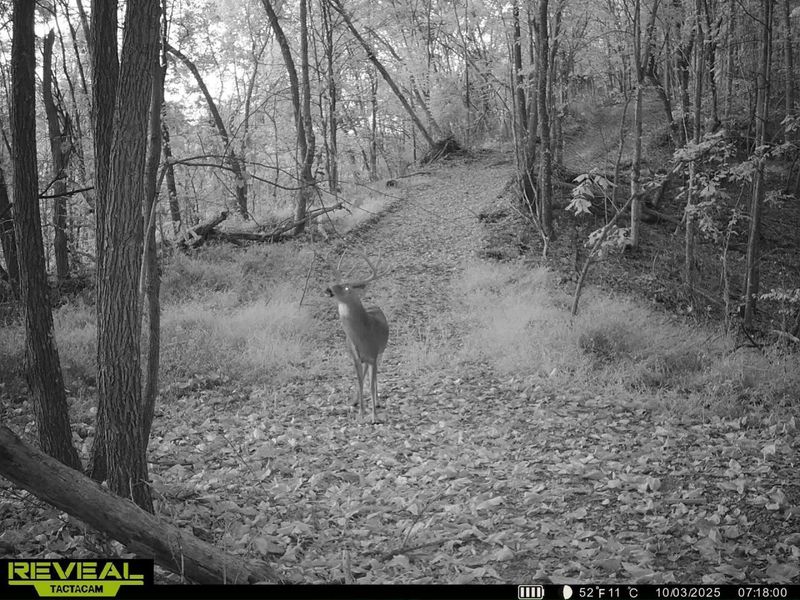 0 Edendale Road , Portsmouth, OH 45662 Photo 14