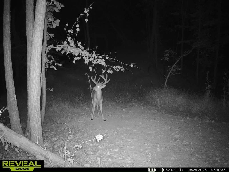 0 Edendale Road , Portsmouth, OH 45662 Photo 15