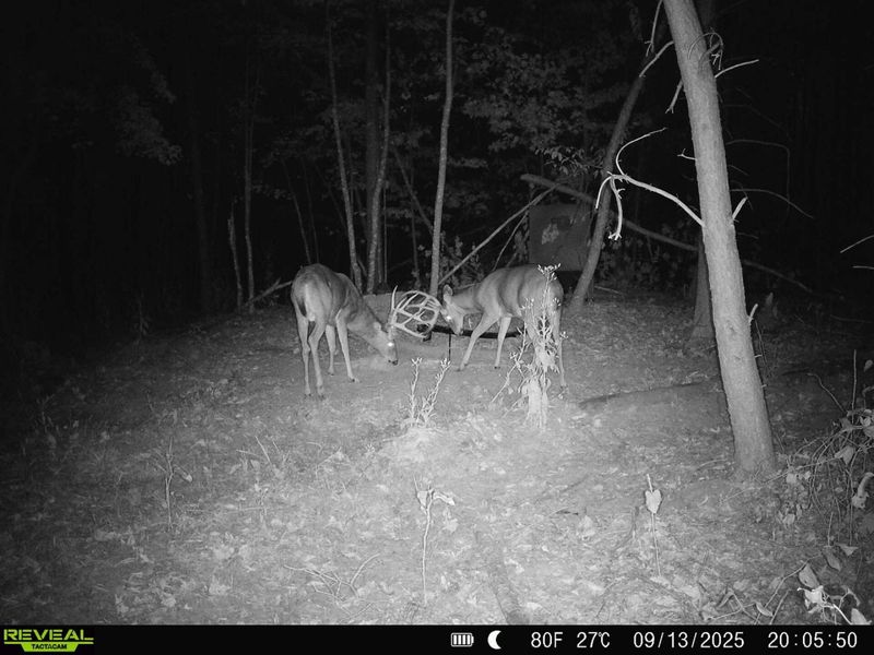 0 Edendale Road , Portsmouth, OH 45662 Photo 17