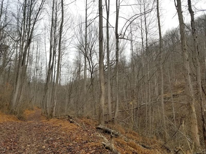 0 Edendale Road , Portsmouth, OH 45662 Photo 38