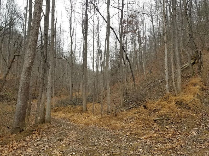 0 Edendale Road , Portsmouth, OH 45662 Photo 44