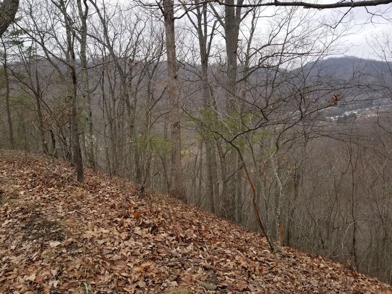 0 Edendale Road , Portsmouth, OH 45662 Photo 48