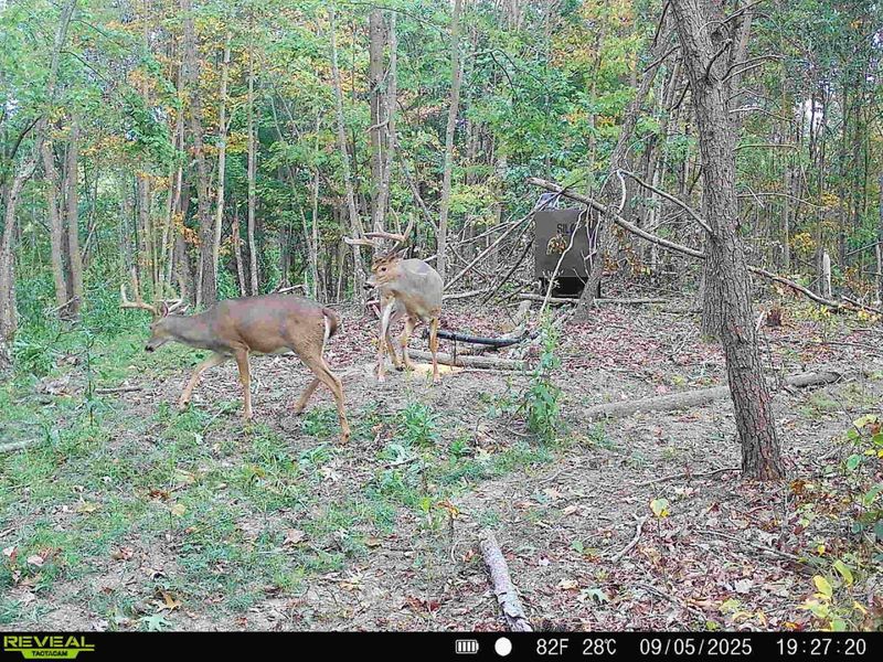 0 Edendale Road , Portsmouth, OH 45662 Photo 8