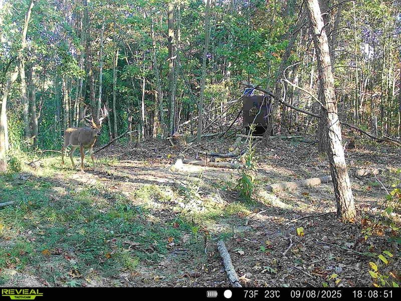 0 Edendale Road , Portsmouth, OH 45662 Photo 9