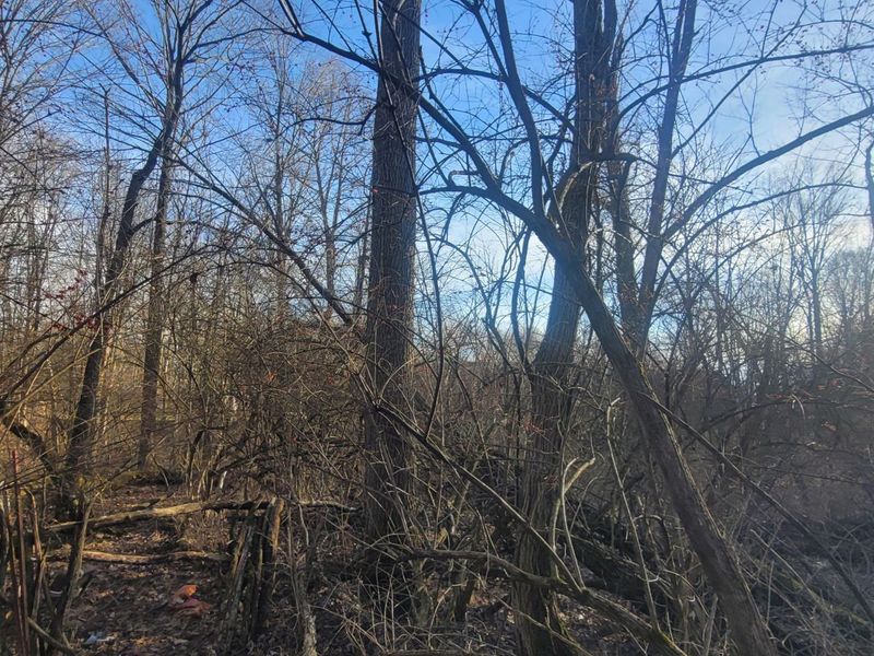 7326 Ohio 19, Unit unit 8-241, Mount Gilead, OH 43338 Photo 4