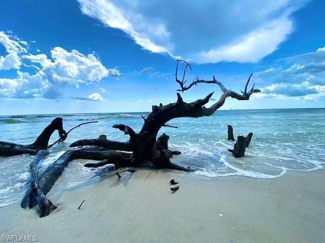 866 Carrick Bend Cir, Unit 201, Naples, FL 34110 Photo