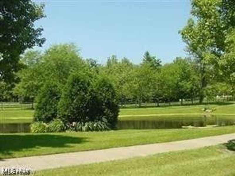 14706 Steeplechase Drive, Middlefield, OH 44062 Photo 8