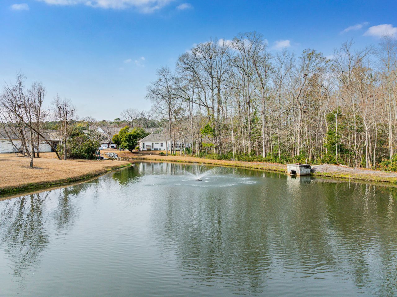 8699 Grassy Oak Trail Photo 29