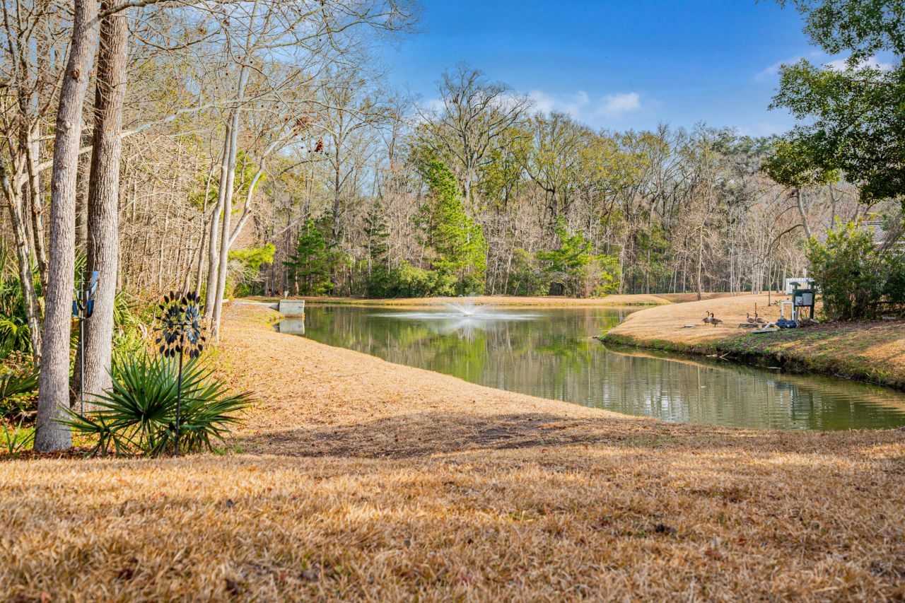 8699 Grassy Oak Trail Photo 30