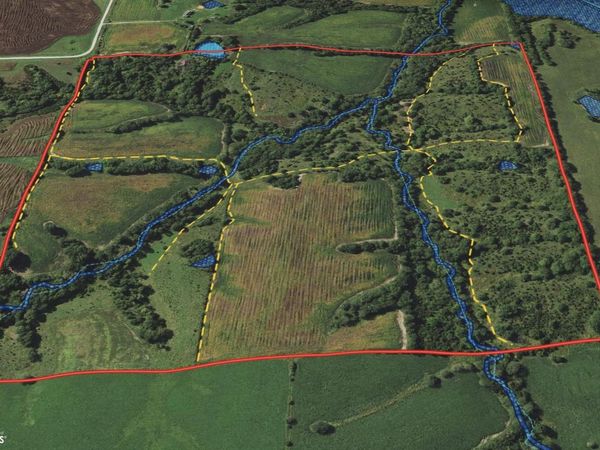 TBD Gray Avenue, Cantril, IA 52542