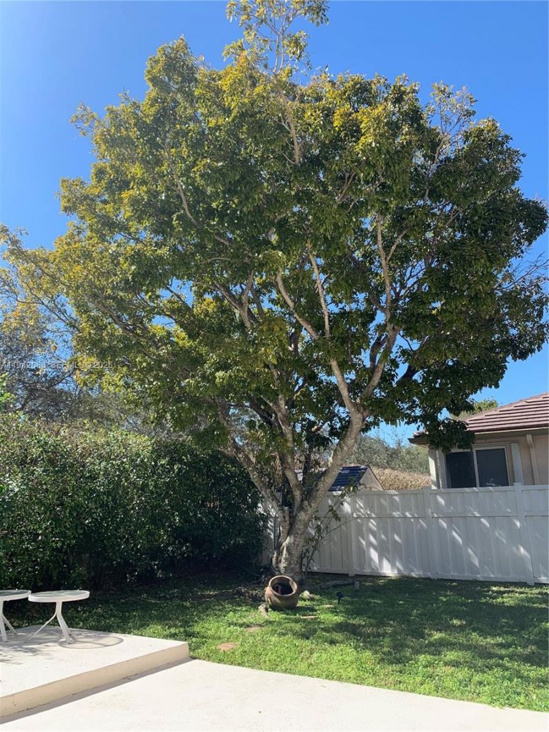 13080 NW 8th Ct, Sunrise, FL 33325 Photo