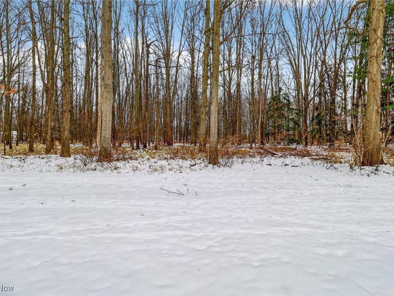 6873 Savannah Drive, North Ridgeville, OH 44039 Photo 31