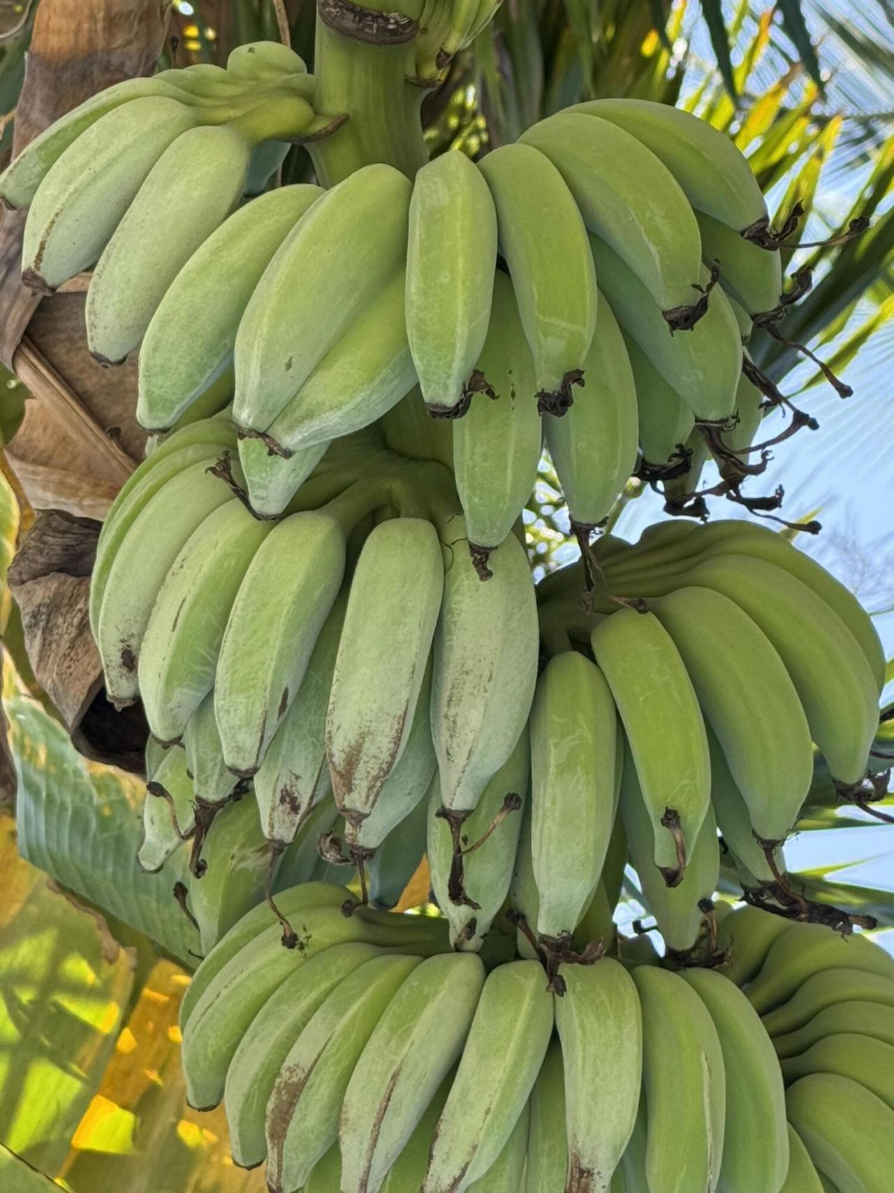 277 Peachtree Avenue, Marathon, FL 33050 Photo