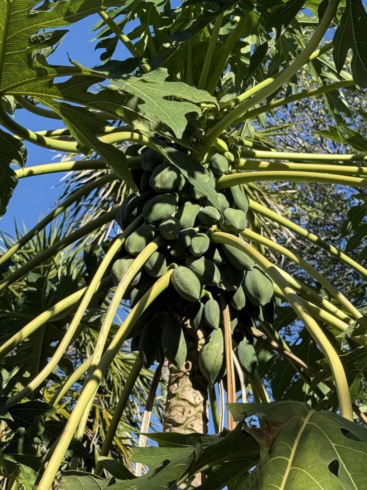 277 Peachtree Avenue, Marathon, FL 33050 Photo