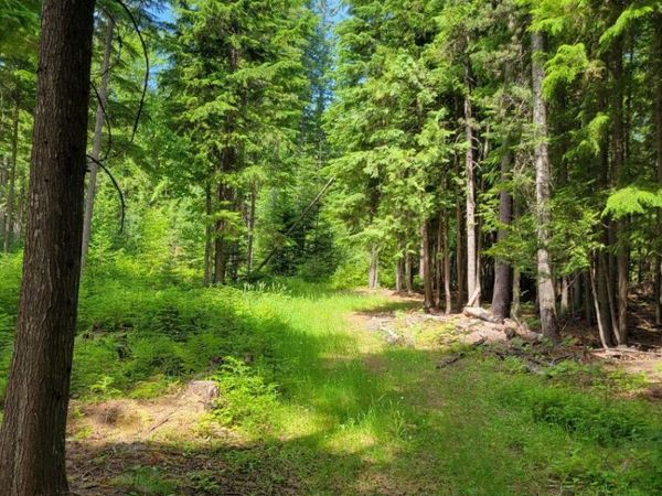 NNA 17 Christmas Lane, Naples, ID 83847