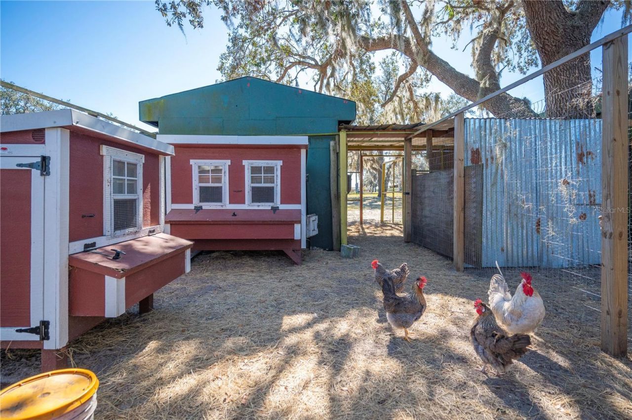 4900 J Jackson Road, Fort Meade, FL 33841 Photo