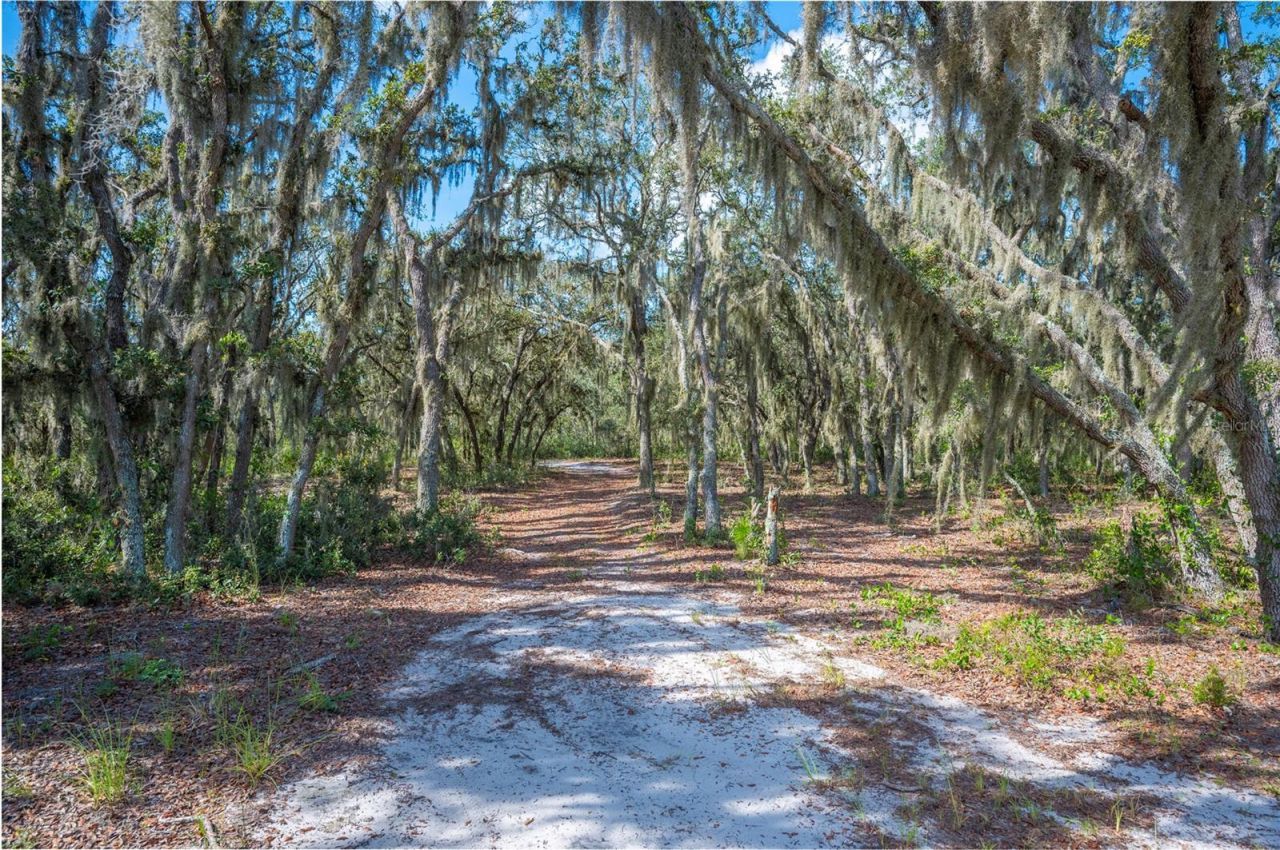 4900 J Jackson Road, Fort Meade, FL 33841 Photo