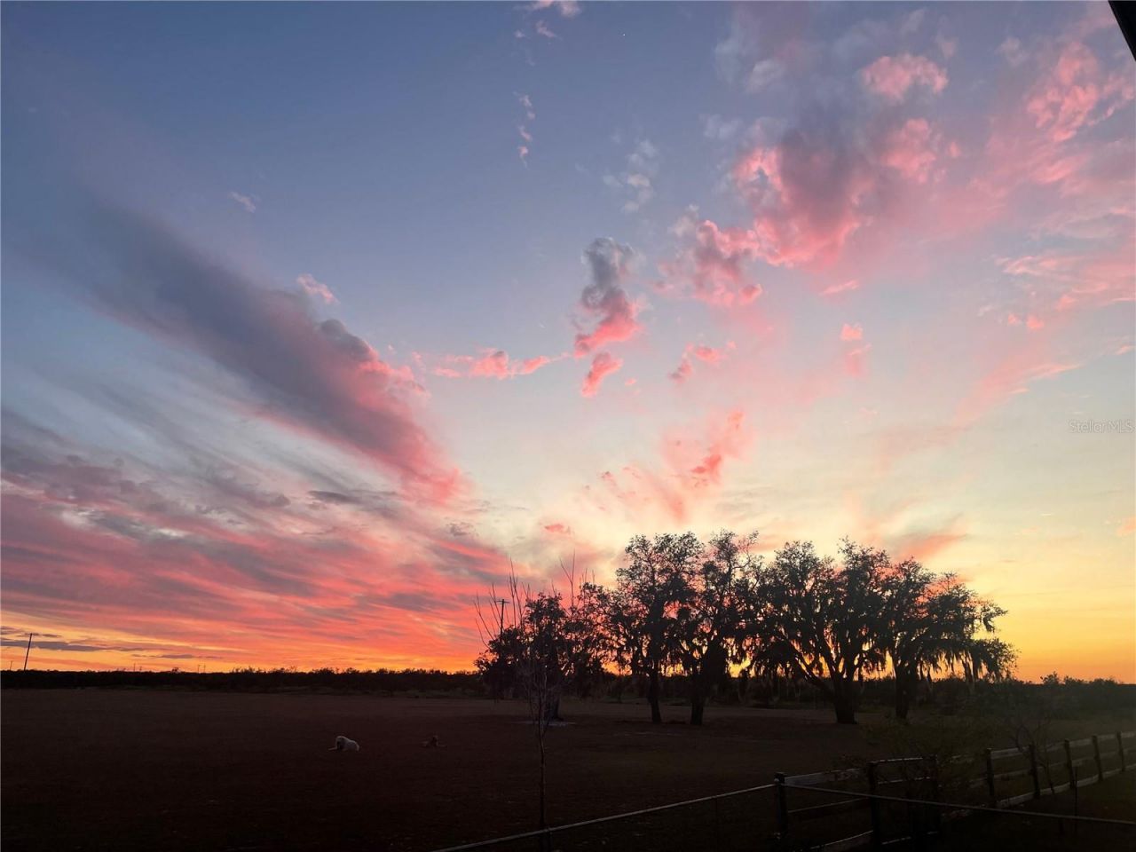 4900 J Jackson Road, Fort Meade, FL 33841 Photo