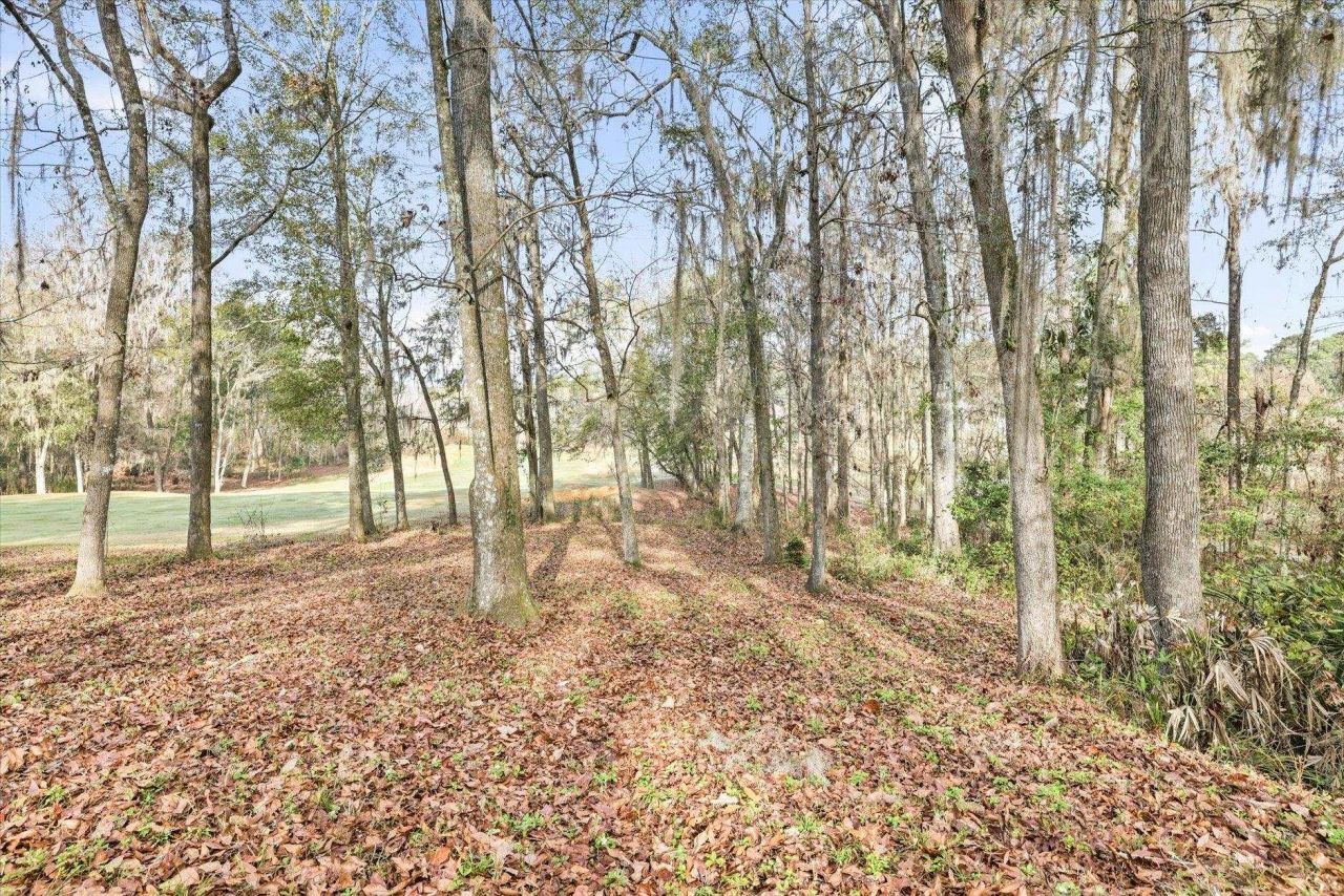 7628 Preservation Road, Tallahassee, FL 32312 Photo