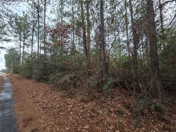 0 Highway 45 Lot#12, Chunchula, AL 36521
