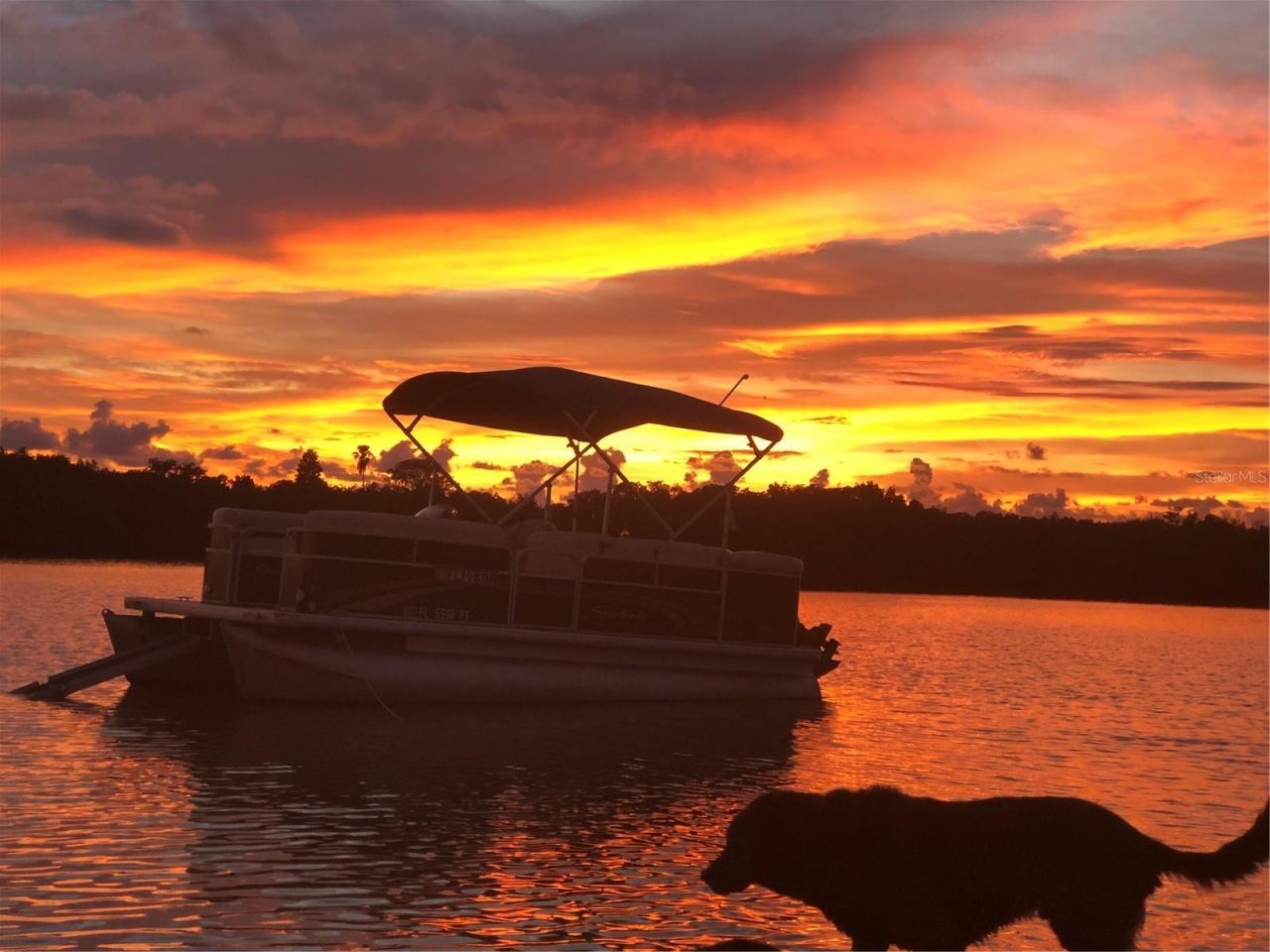 9453 Treasure Lane Ne, Saint Petersburg, FL 33702 Photo