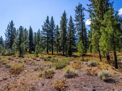 720 John Mckinney, Truckee, CA 96161 Photo