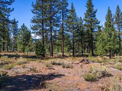 720 John Mckinney, Truckee, CA 96161 Photo