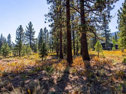 720 John Mckinney, Truckee, CA 96161 Photo