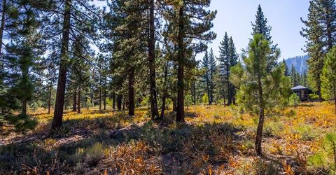 720 John Mckinney, Truckee, CA 96161 Photo
