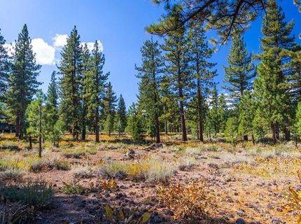 720 John Mckinney, Truckee, CA 96161 Photo