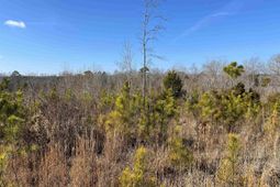 242 Chappell Road photo 4