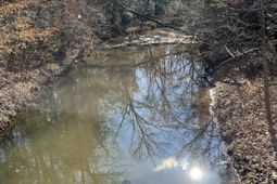 242 Chappell Road photo 4