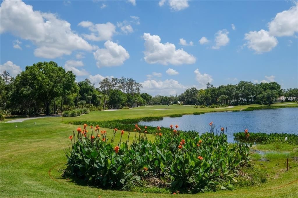 6713 Stone River Rd, Unit 203, Bradenton, FL 34203 Photo
