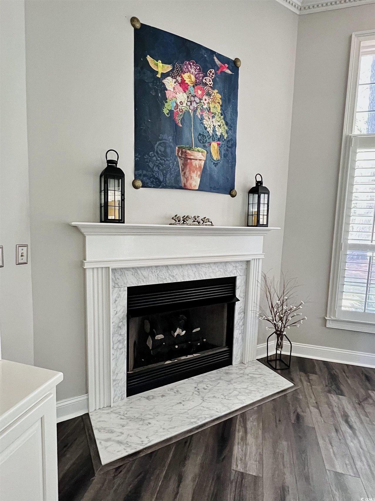 4566 Painted Fern Ct. Photo 11