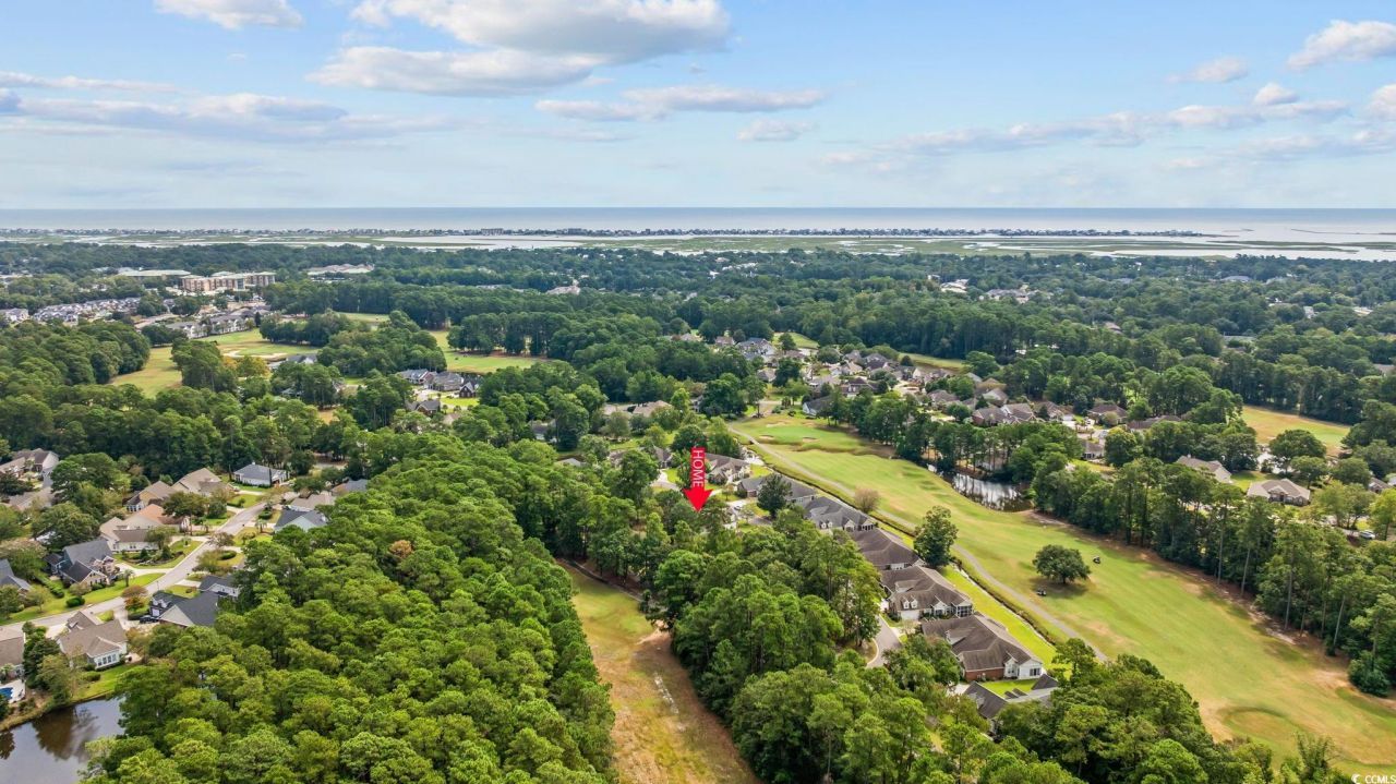 4566 Painted Fern Ct. Photo 32