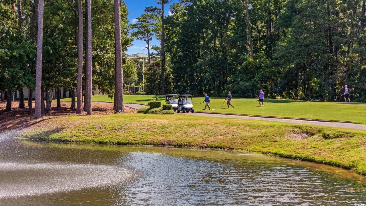 4566 Painted Fern Ct. Photo 35