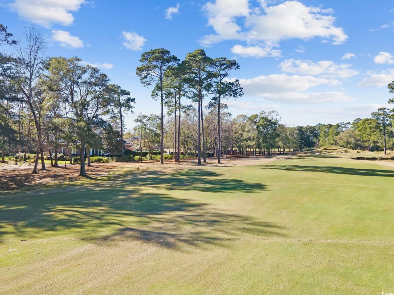 4566 Painted Fern Ct. Photo 36