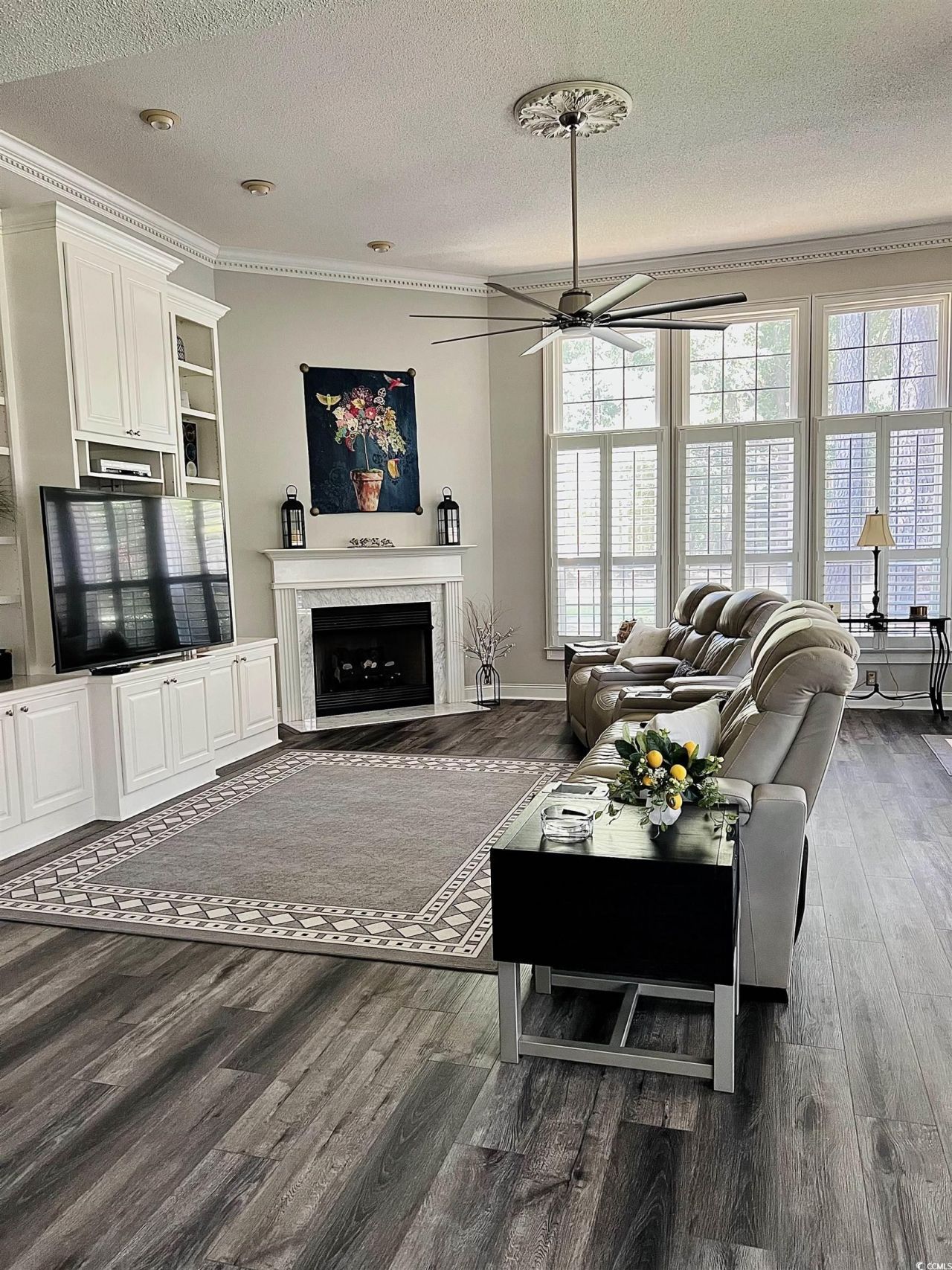 4566 Painted Fern Ct. Photo 9