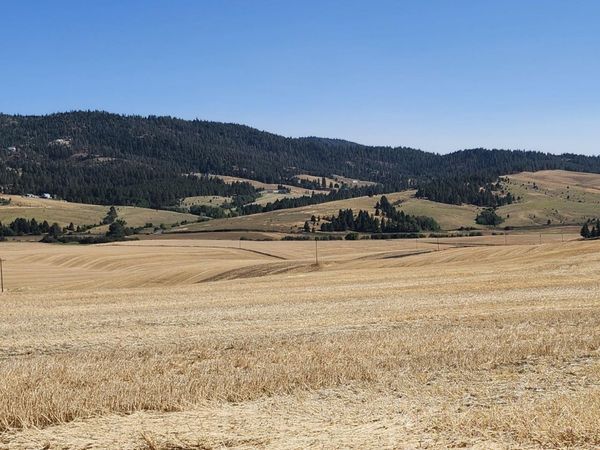 S 8004 Jackson Rd, Mica, WA 99023