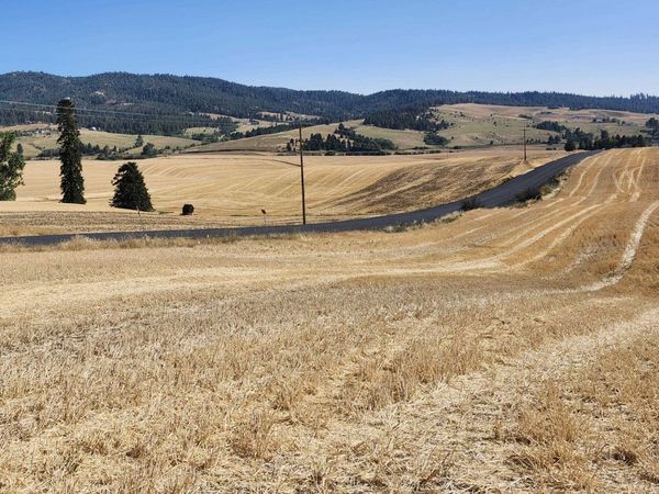 S 8002 Jackson Rd, Mica, WA 99023