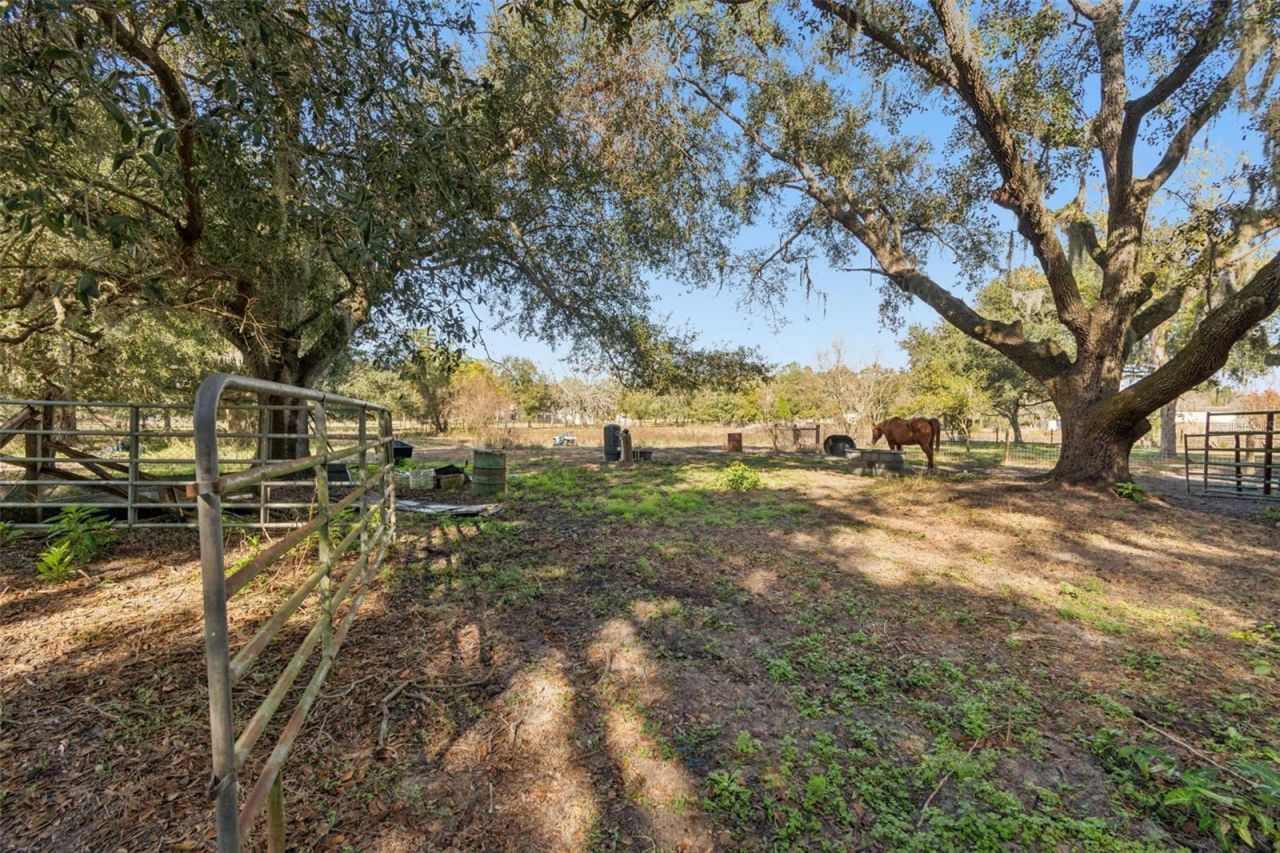 28538 Rice Road, San Antonio, FL 33576 Photo