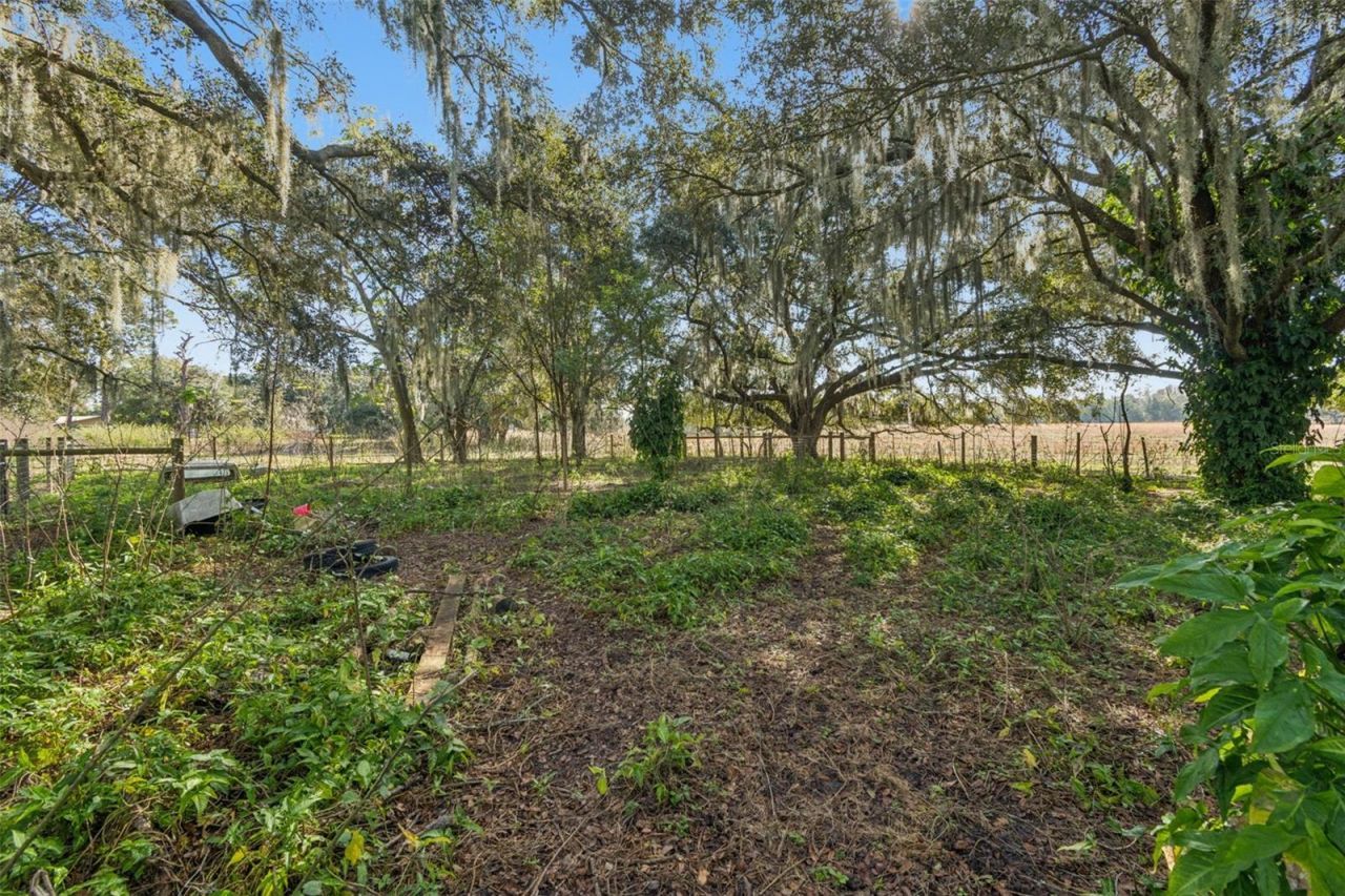 28538 Rice Road, San Antonio, FL 33576 Photo