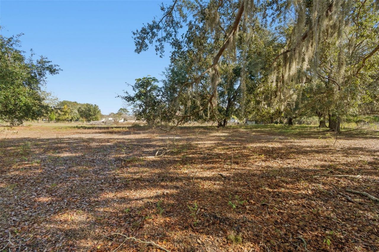 28538 Rice Road, San Antonio, FL 33576 Photo