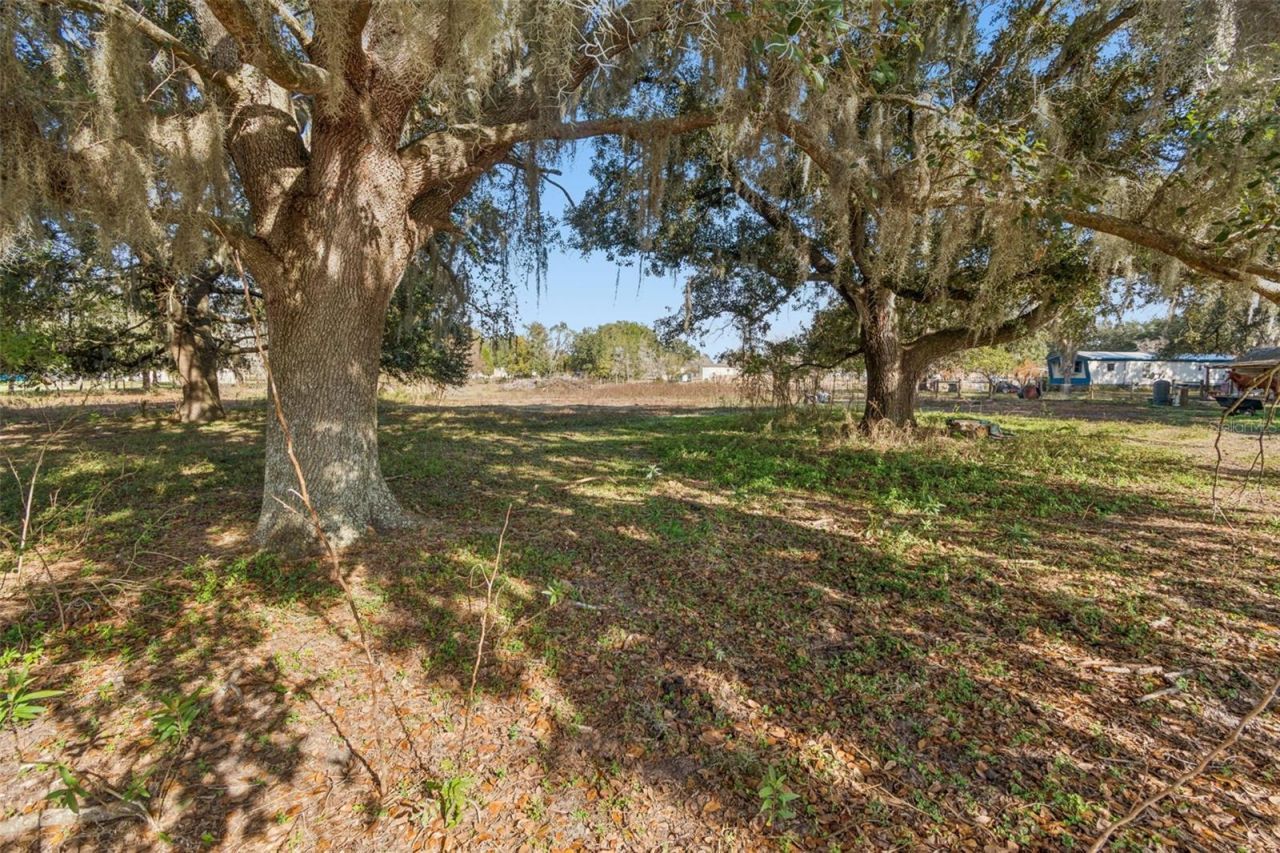 28538 Rice Road, San Antonio, FL 33576 Photo