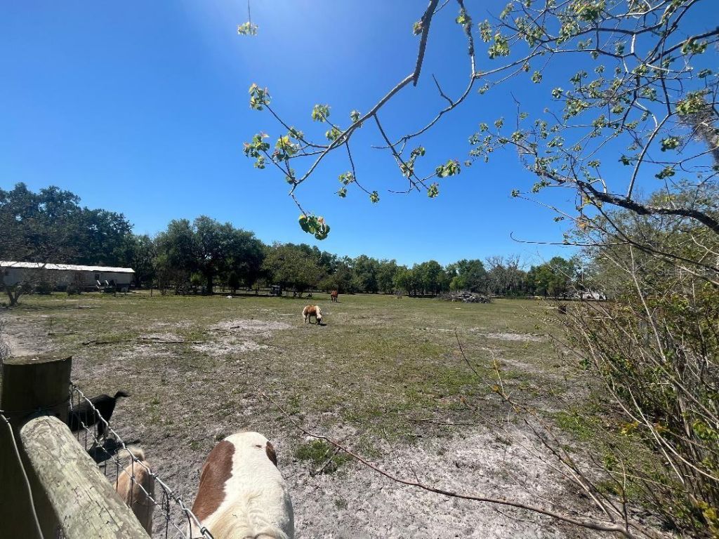 28538 Rice Road, San Antonio, FL 33576 Photo