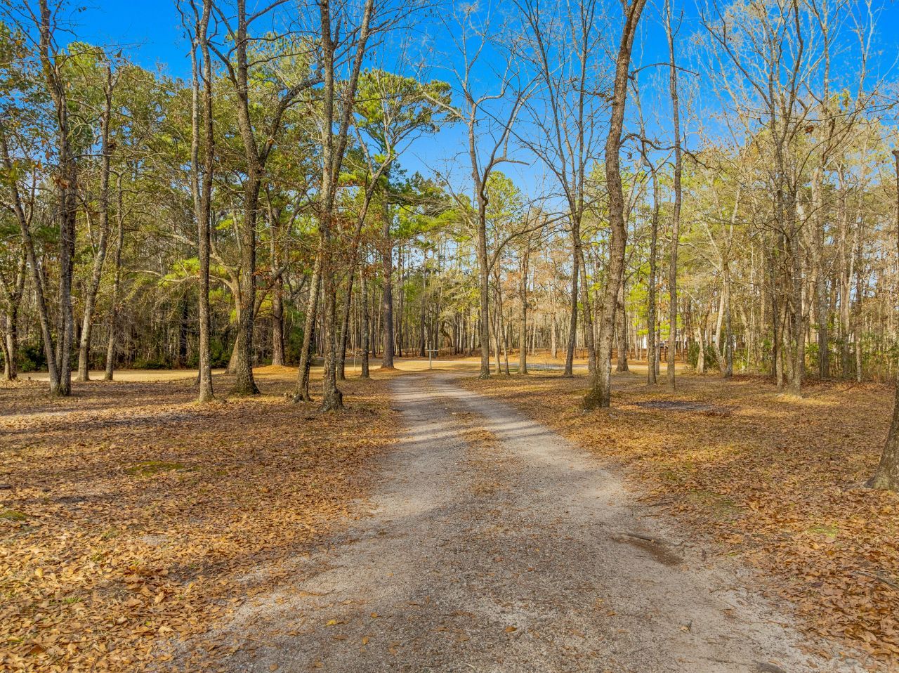 245 Kingrail Lane Photo 30